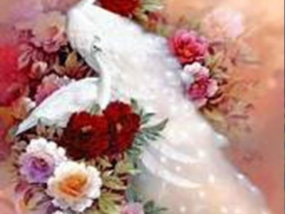 Картина стразами 5D 189354 Павлины Go to Art, 21х25см , подставка  