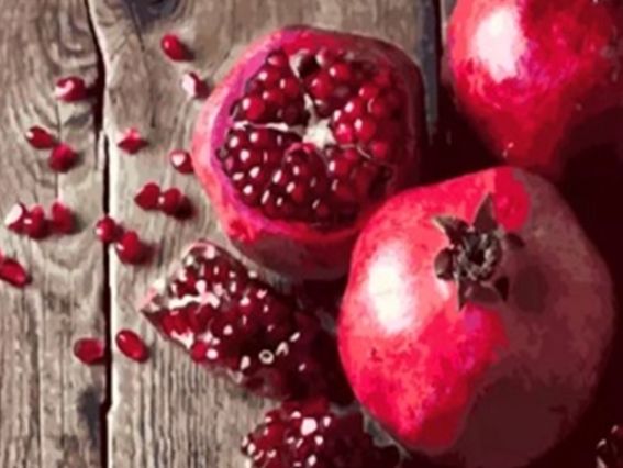 Картина стразами 189474 Гранат Go to Art Діамантові ручки на підрамнику