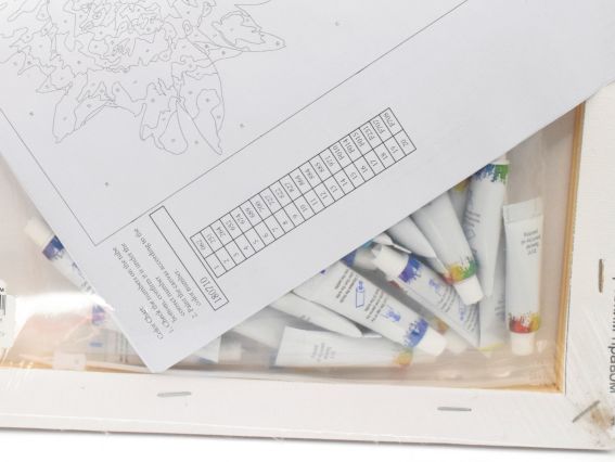 Go to Art Роспись по номерам 180710 Пионы  Худ. Старовойтова