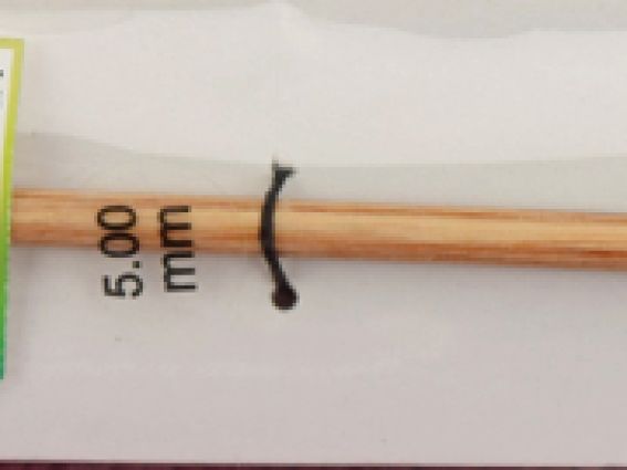 Крючок для нукинга с ушком KnitPro Symfonie Natural 23507 длина 15,5 см размер 5 мм Крючок для нукинга с ушком KnitPro Symfonie Natural 23507 длина 15,5 см размер 5 мм