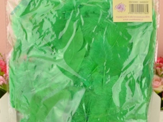 Перья, набор, Paula №26М003В-037 зеленые Перья, набор, Paula №26М003В-037 зеленые