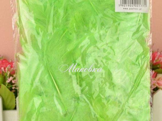 Перья, набор, Paula №PIORA28 салатовые Перья, набор, Paula №PIORA28 салатовые