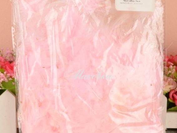 Перья, набор, Paula №26М003В-001 бледно розовые Перья, набор, Paula №26М003В-001 бледно розовые