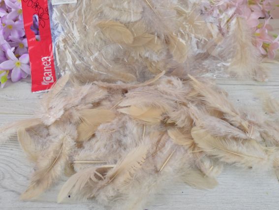 Перья, набор, Canea Латте, 10г, HM003_041