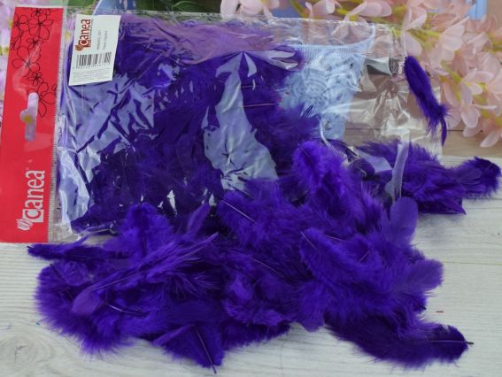 Перья, набор, Canea Темно фиолетовые, 10г, HM003_031