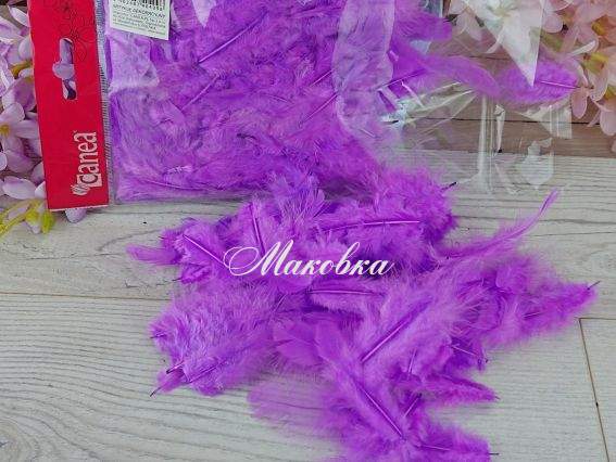 Перья, набор, Canea фиолетовые (пурпур) 10г, HM003_030