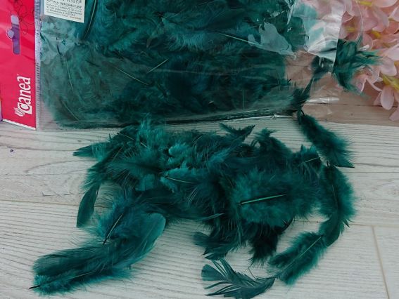 Перья, набор, Canea Зеленые Изумрудные, 10г, HM003_3165