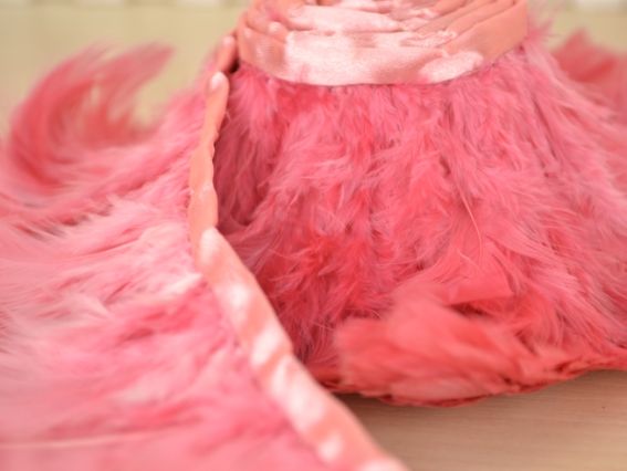 Гирлянда из перьев, Пыльная роза Гирлянда из перьев, Пыльная роза