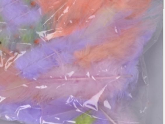 Перья, набор, ROJEK-DECOR HM-003-6ASS ассорти Перья, набор, ROJEK-DECOR HM-003-6ASS ассорти