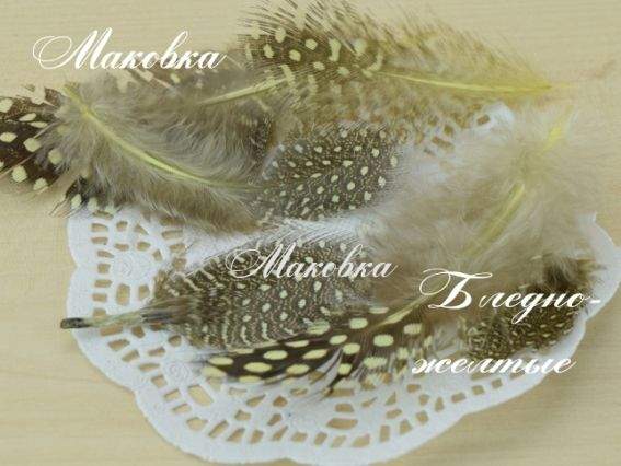 Перья Жар-птицы, БЛЕДНО-ЖЕЛТЫЕ, пятнистые, набор 5 г, №3590 Перья Жар-птицы, БЛЕДНО-ЖЕЛТЫЕ, пятнистые, набор 5 г, №3590