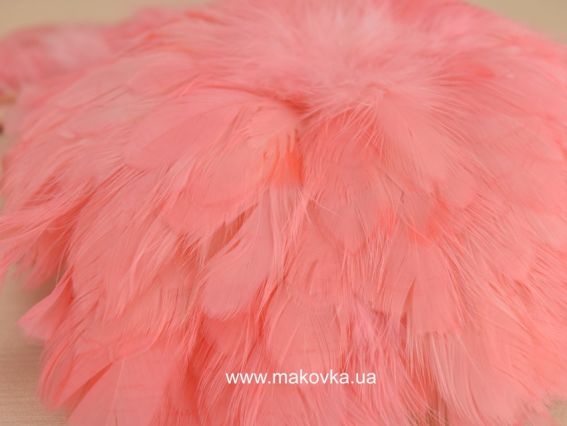 Гирлянда из перьев, Коралловая Гирлянда из перьев, Коралловая