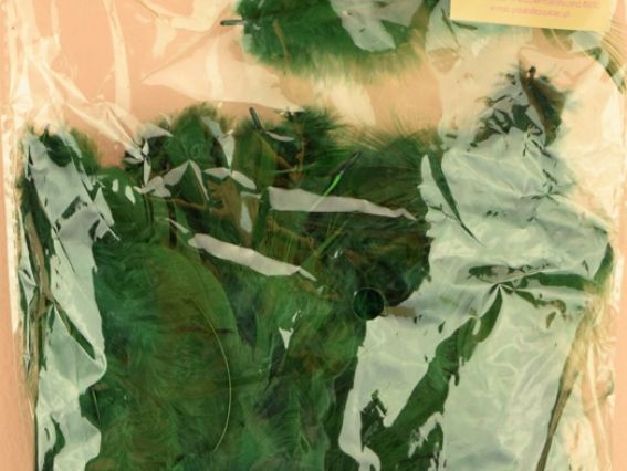 Перья, набор, Paula №26М003В-040 темно-зеленые Перья, набор, Paula №26М003В-040 темно-зеленые