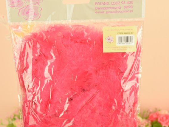 Перья, набор, Paula №26М003В-047 малиновые, 1 уп Перья, набор, Paula №26М003В-047 малиновые, 1 уп