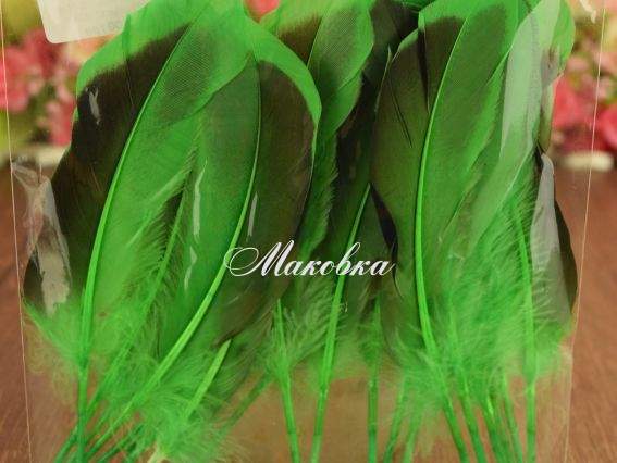 Пір'я, набір, Дика качка, колір зелений, 10-15см .1 уп 571329 Пір'я, набір, Дика качка, колір зелений, 10-15см .1 уп 571329