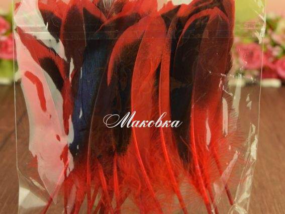 Пір'я, набір, Дика качка, колір червоний, 10-15см .1 уп 571329 Пір'я, набір, Дика качка, колір червоний, 10-15см .1 уп 571329