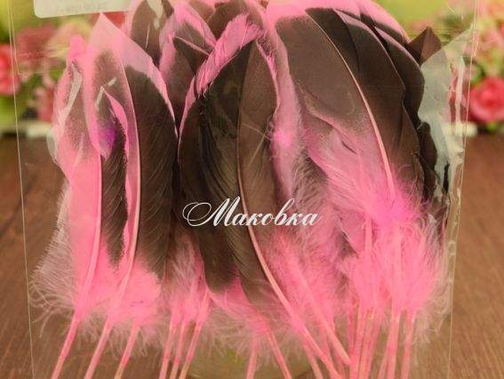 Пір'я, набір, Дика качка, колір рожевий, 10-15см .1 уп 571329 Пір'я, набір, Дика качка, колір рожевий, 10-15см .1 уп 571329