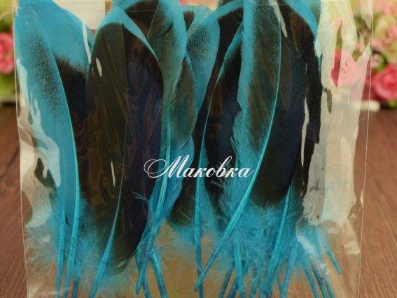 Пір'я, набір, Дика качка, колір морська хвиля, 10-15см .1 уп 571329 Пір'я, набір, Дика качка, колір морська хвиля, 10-15см .1 уп 571329