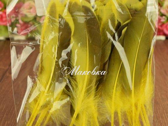 Пір'я, набір, Дика качка, колір жовтий, 10-15см .1 уп 571329 Пір'я, набір, Дика качка, колір жовтий, 10-15см .1 уп 571329