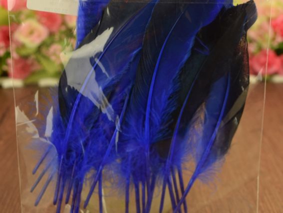 Пір'я, набір, Дика качка, колір синій, 10-15см .1 уп 571329 Пір'я, набір, Дика качка, колір синій, 10-15см .1 уп 571329