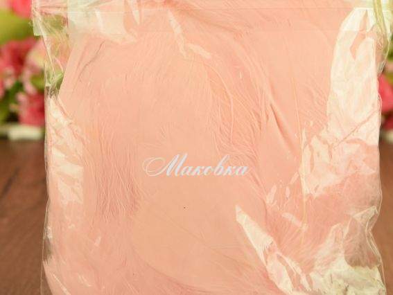 Пір'я, набір, Пудрові, довжина 5-13см, близько 100шт в уп, 3661 Пір'я, набір, Пудрові, довжина 5-13см, близько 100шт в уп, 3661