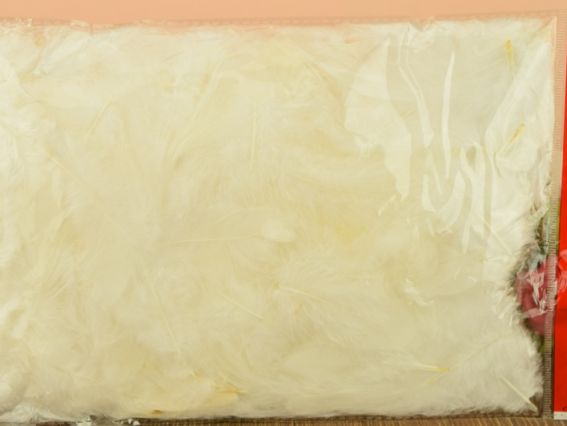 Перья, набор, Canea Белые HM0003_WH, 10г