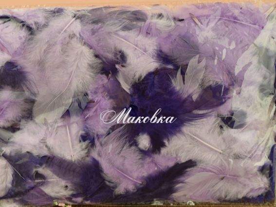 Перья, набор, Canea МИКС фиолетово-сиреневые Canea 26M003_256SS, 10г Перья, набор, Canea МИКС фиолетово-сиреневые Canea 26M003_256SS, 10г