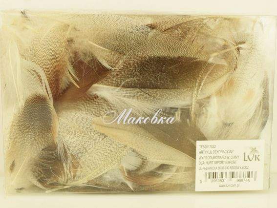 Перья в коробке 6-10см  LUK TFB2017022 бежево-коричневые Перья в коробке 6-10см  LUK TFB2017022 бежево-коричневые