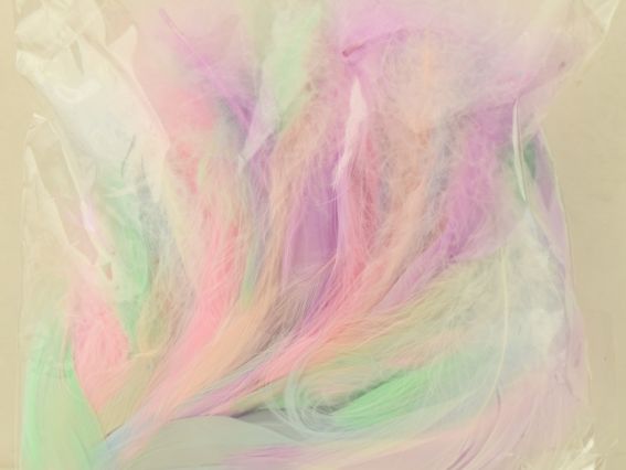 Пір'я набір, Кольорові пастельні, мікс кольорів, довжина 5-13см Пір'я набір, Кольорові пастельні, мікс кольорів, довжина 5-13см