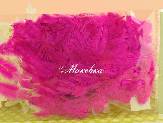 Перья, набор, Paula №26М003В-003 фуксия Перья, набор, Paula №26М003В-003 фуксия