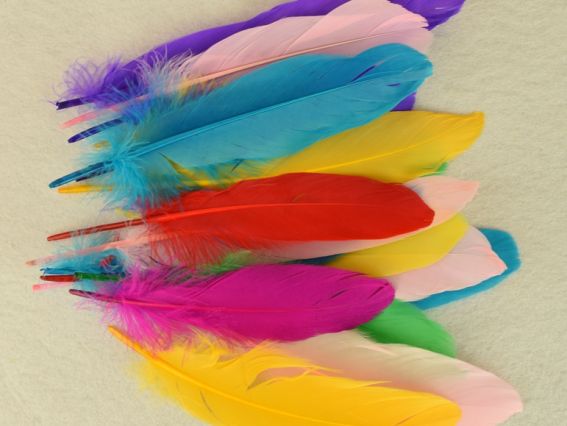 Пір'я пофарбоване Мікс, набір 20 шт , 17-19см, 570262 Пір'я пофарбоване Мікс, набір 20 шт , 17-19см, 570262