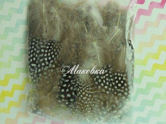 Пір'я з горохом Сірі, набір , 5-10см, 570400 Пір'я з горохом Сірі, набір , 5-10см, 570400