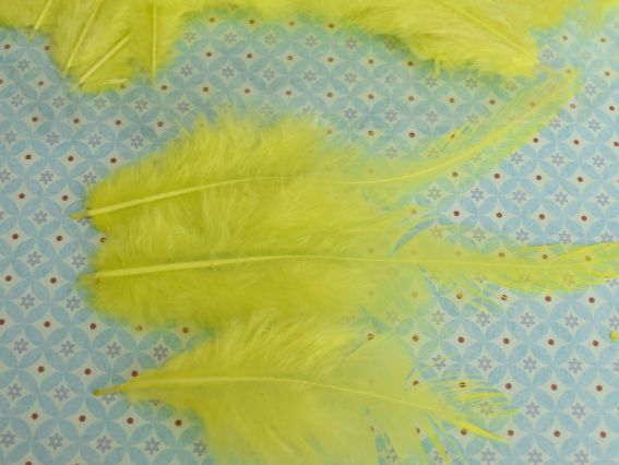 Набір пір'я натуральні, пухові проріджені , колір Жоатий 8-16см, 572357