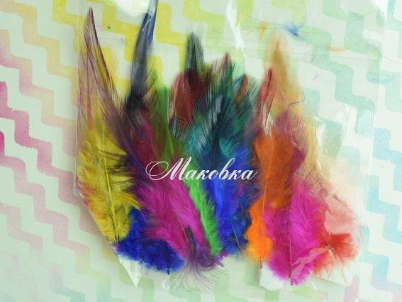 Пір'я пухові проріджені Мікс Різнокольорові, набір , 5-14см, 570428 Пір'я пухові проріджені Мікс Різнокольорові, набір , 5-14см, 570428