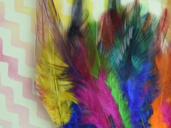 Набір пір'я натуральні, пухові проріджені , Мікс Різнокольорові, 5-14см, 570428
