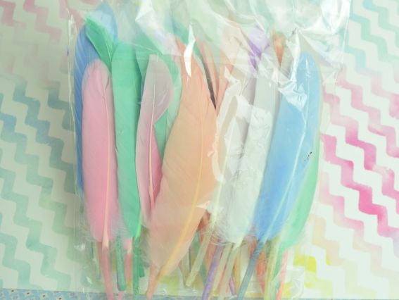 Перья Пастельное ассорти №150, длина 10-14 см