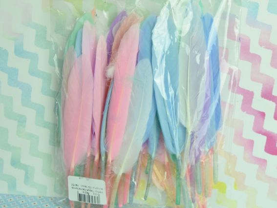 Набор перьев Пастельное ассорти, примерно 45 шт, 10-14 см, №150