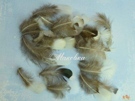 Перья маленькие коричневые с белым хвостиком №572153, 5-8см Перья маленькие коричневые с белым хвостиком №572153, 5-8см