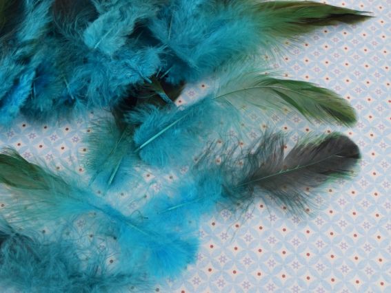 Набір пір'я під фазана , колір чорно-морська хвиля, 8393, 6-18см , 50шт