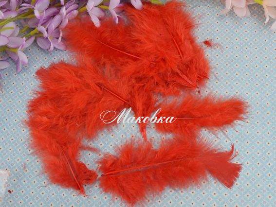 Пір'я кашемірове ЧЕРВОНЕ, 5-12 см, 20 шт Пір'я кашемірове ЧЕРВОНЕ, 5-12 см, 20 шт