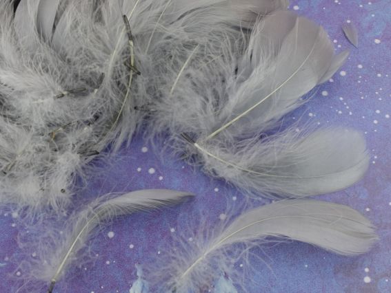 Набор цветных перьев, цвет Темно-Серый, длина 5-13см, около 100шт в уп, 3661