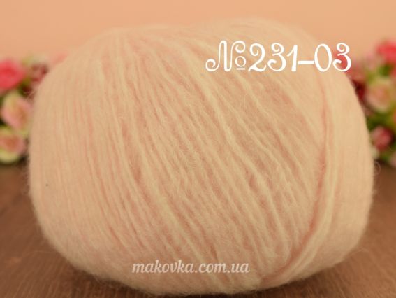 231-03