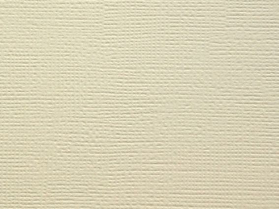 Кардсток текстурный Слоновая кость, 30,5х30,5 см, 216 г/м, Scrap Berrys SCB172312049, 1 шт Кардсток текстурный Слоновая кость, 30,5х30,5 см, 216 г/м, Scrap Berrys SCB172312049, 1 шт