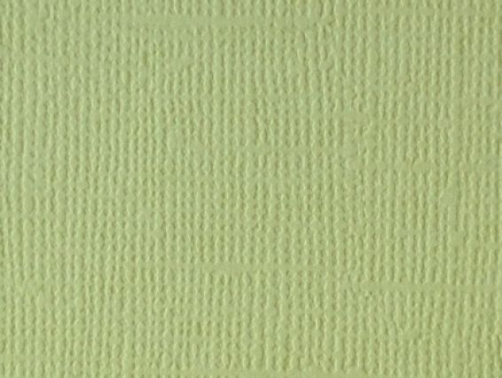 Кардсток текстурный Фисташковый, 30,5х30,5 см, 216 г/м, Scrap Berrys SCB172312057, 1 шт Кардсток текстурный Фисташковый, 30,5х30,5 см, 216 г/м, Scrap Berrys SCB172312057, 1 шт