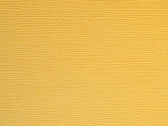 Кардсток текстурный Светлое золото, 30,5х30,5 см, 216 г/м, Scrap Berrys SCB172312075, 1 шт Кардсток текстурный Светлое золото, 30,5х30,5 см, 216 г/м, Scrap Berrys SCB172312075, 1 шт