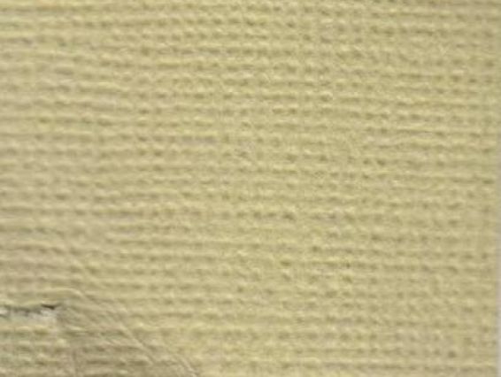 Кардсток текстурный Светло-оливковый, 30,5х30,5 см, 216 г/м, Scrap Berrys SCB172312084, 1 шт Кардсток текстурный Светло-оливковый, 30,5х30,5 см, 216 г/м, Scrap Berrys SCB172312084, 1 шт