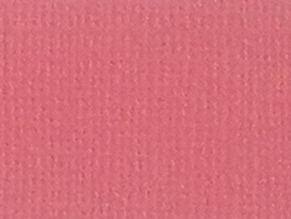 Кардсток текстурный Розовый фламинго, 30,5х30,5 см, 216 г/м, Scrap Berrys SCB172312096, 1 шт Кардсток текстурный Розовый фламинго, 30,5х30,5 см, 216 г/м, Scrap Berrys SCB172312096, 1 шт