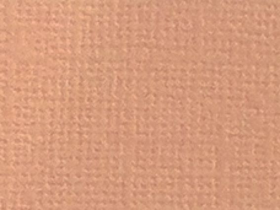 Кардсток текстурный Персиковый, 30,5х30,5 см, 216 г/м, Scrap Berrys SCB172312097, 1 шт Кардсток текстурный Персиковый, 30,5х30,5 см, 216 г/м, Scrap Berrys SCB172312097, 1 шт