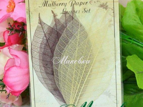 Набор листочков, оттенки коричневого, SCB300502, ScrapBerrys Набор листочков, оттенки коричневого, SCB300502, ScrapBerrys