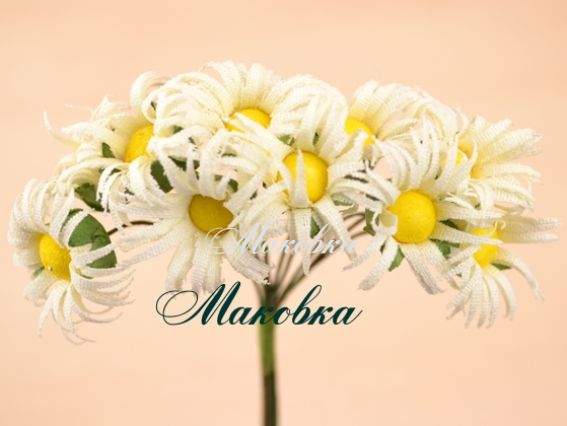 Ромашки Кремовые тканевые, 12 шт/уп Ромашки Кремовые тканевые, 12 шт/уп