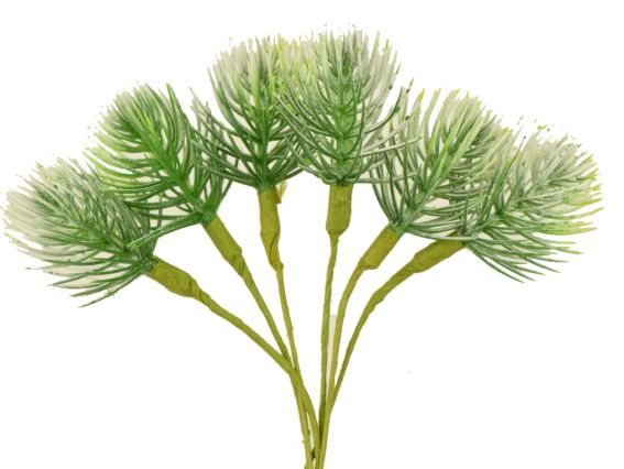 Добавка АСПАРАГУС, 6шт, длина 14см, зелено-белый Добавка АСПАРАГУС, 6шт, длина 14см, зелено-белый